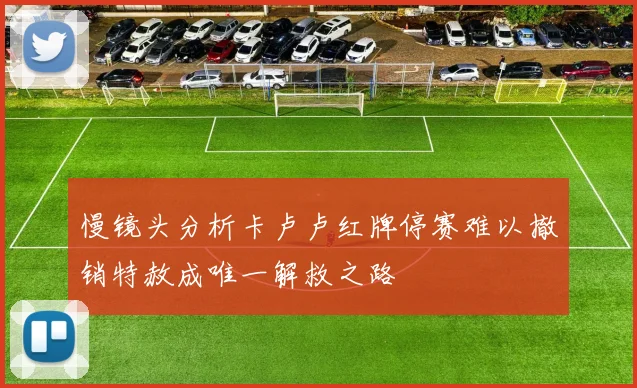 慢镜头分析卡卢卢红牌停赛难以撤销特赦成唯一解救之路