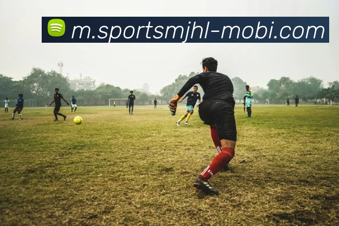 麻将胡了平台生态图